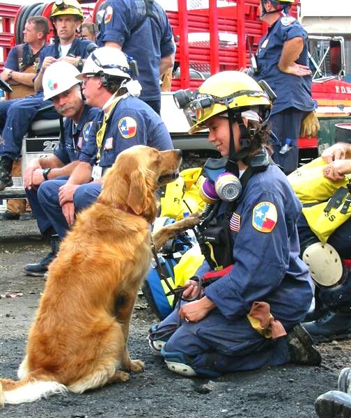 16 y.o. retired @fema Texas TF1 #K9 "Bretagne", the last surviving Ground Zero Search & Rescue dog, has passed #RIP https://t.co/E7CgLW4WBm