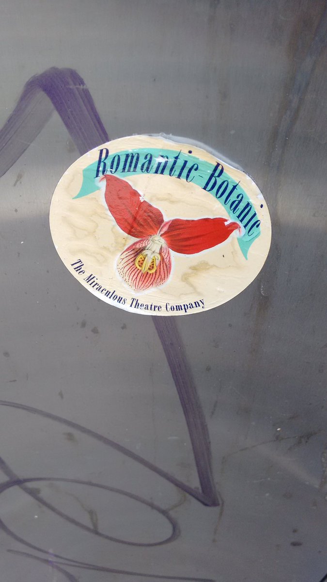 Belfast_Beyond's tweet image. More #Belfast #stickerbombs #graffiti #trustyourstruggle #miraculoustheatre  #Demora #dollyshousecrew #snowboard