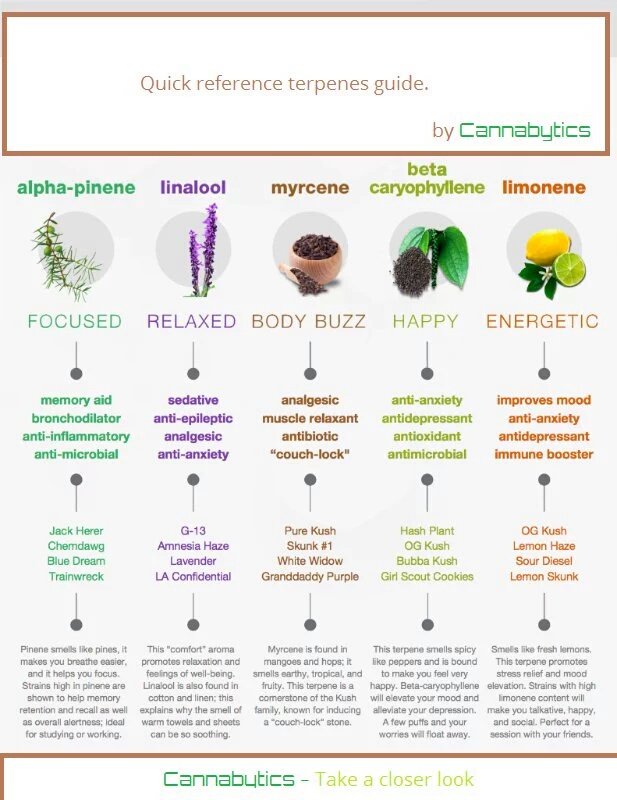 CTMMPReviews's tweet photo. #CTMMP #CTMMPReviews #HempCT #CTWeedReviews #CTCannabis #WakeNDab #CannabisThenAndNow #KnowYourMeds Few Pot Memes... https://t.co/i9NVIqy79r