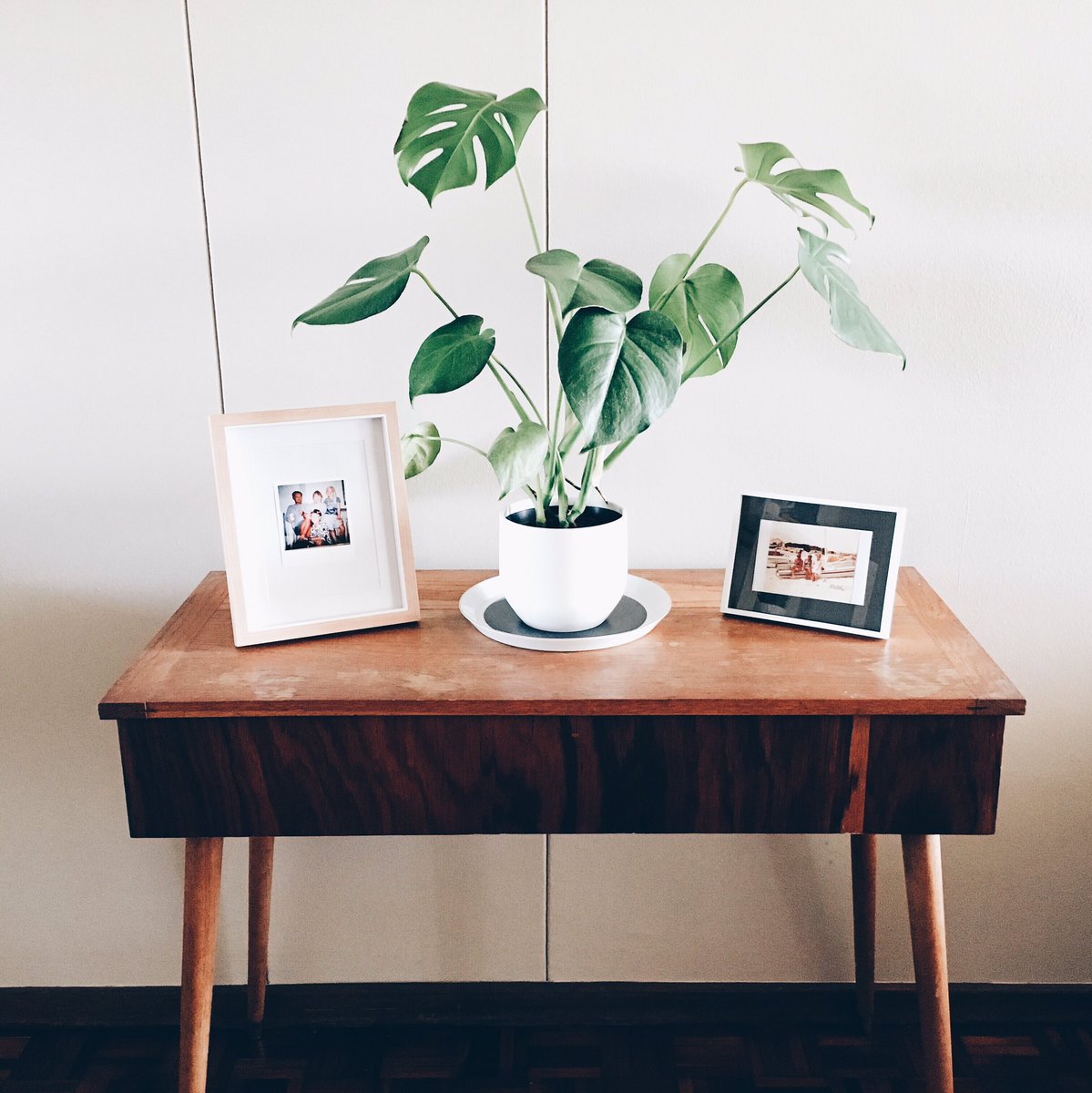 Nifty250_'s tweet photo. Oh so obsessed with this little corner of @kiki_gerber's home! 🌿 https://t.co/M7kgvnXFhk