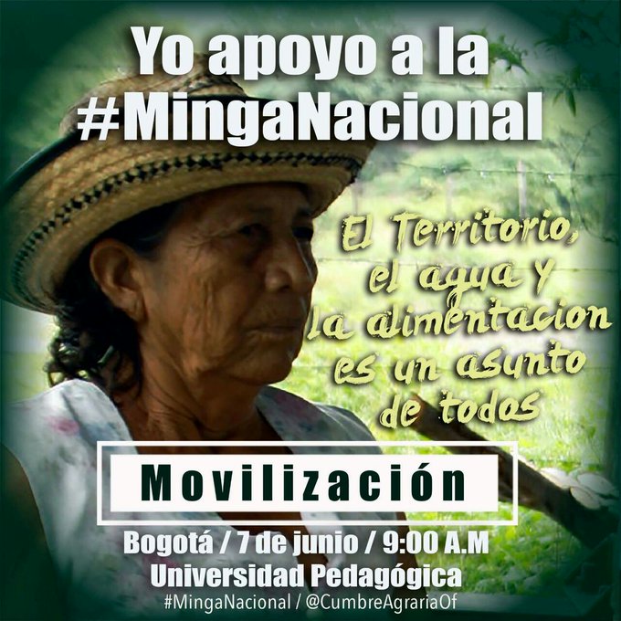 Ver imagen en Twitter