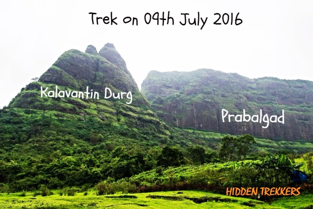 Hidden Trekkers tweet media