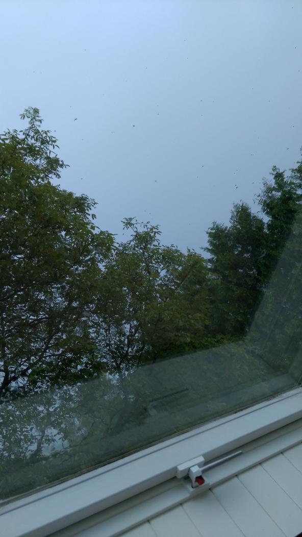 Welches Dorf trifft es diesmal 
#Unwetter #Überschwemmt #Eifel