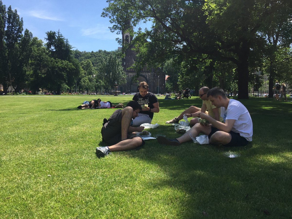 Dnes máme oběd v parku ☀️ #salad #summertime
