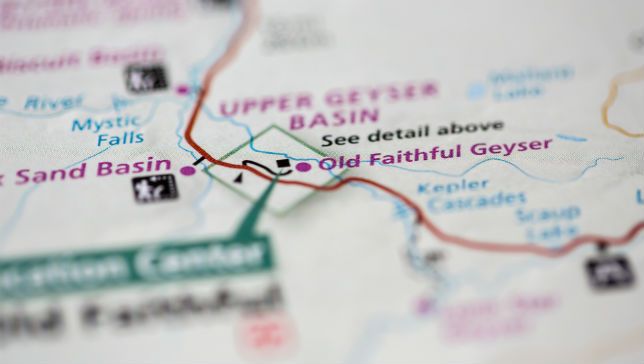 Treehugger Animals tweet media