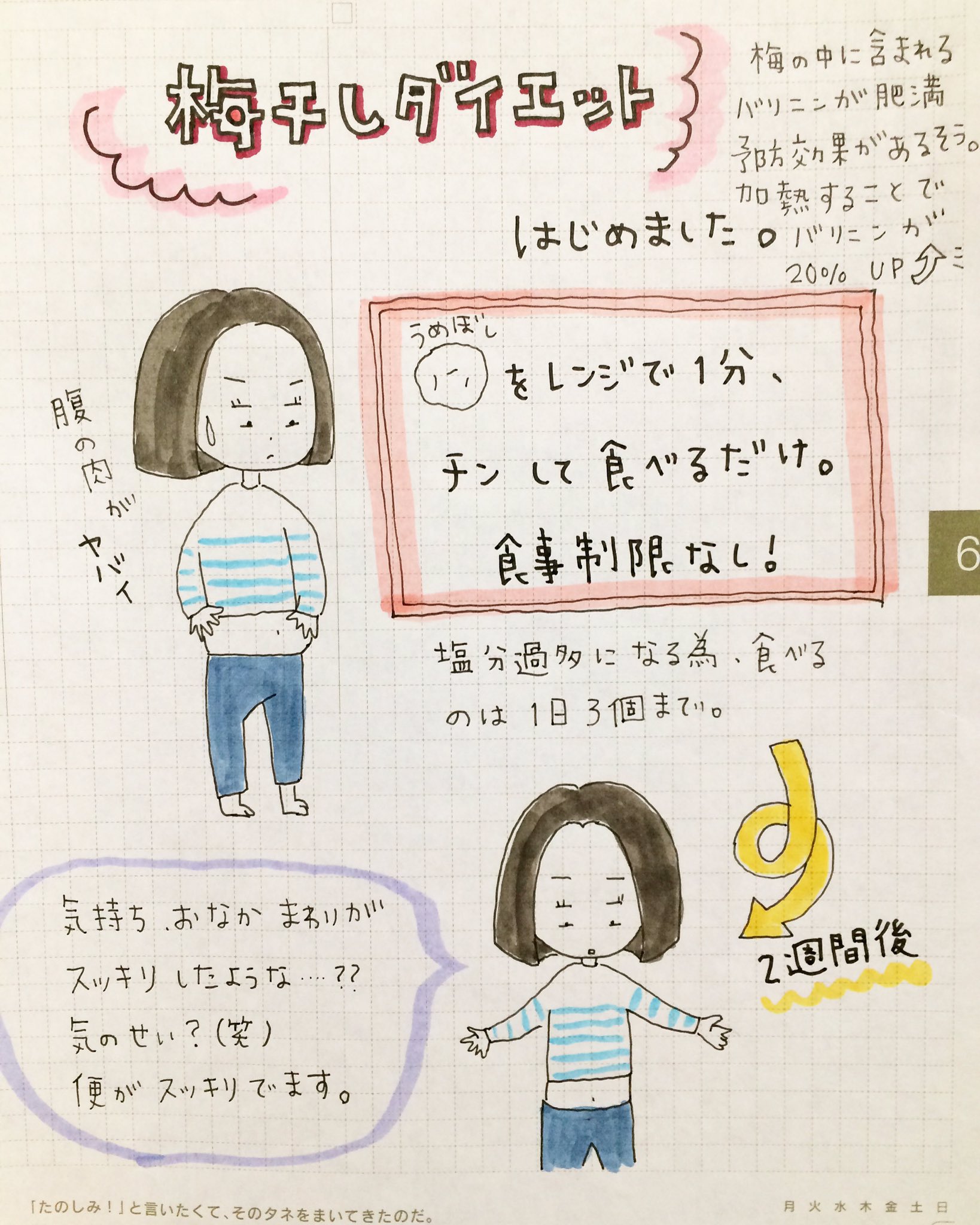 Matsuco15 ほぼ日手帳 ほぼ日 ほぼ日手帳カズン Hobonichi Illustration イラスト Illust ダイエット 梅干しダイエット T Co Tphcbrtzzg Twitter