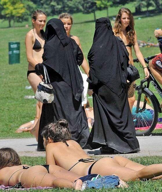 ContreCroisade's tweet photo. Il n'y a pas de choc culturel, c'est dans la tête. Répétez. https://t.co/TJ0KqyKQLs