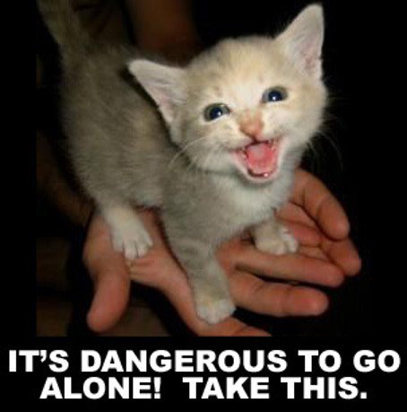 KittyCatWeb's tweet image. It's dangerous to go alone ... take this!