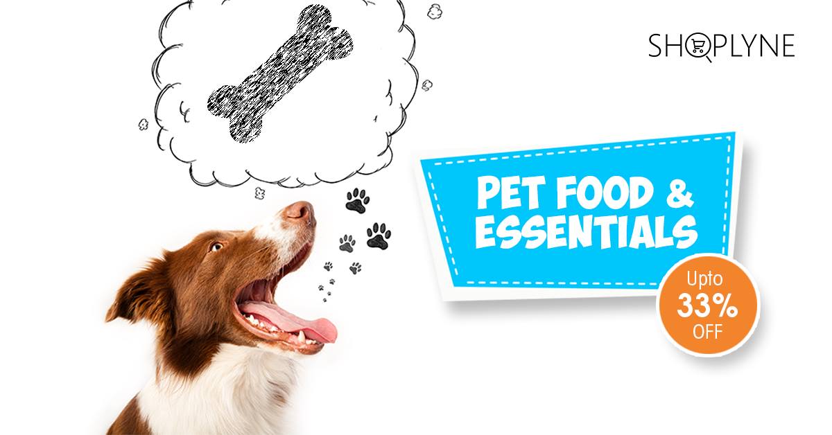 ShopLyneSocial's tweet photo. #Pet essentials, from food to grooming to collars &amp; beds - it's all on #ShopLyne! Get delivery in hours. Order now! https://t.co/kIXvUkcX4x
