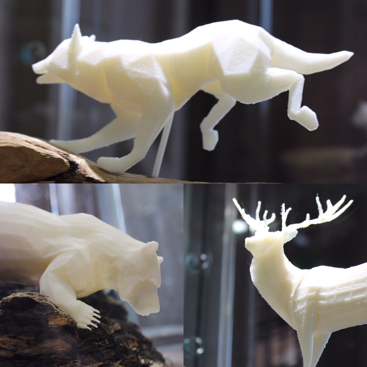 Some of the models from our <a href="/wildlessproject/">WILDLESS</a> features at <a href="/XpoNorth/">XpoNorth Digital</a> this week! #rewilding #xponorth