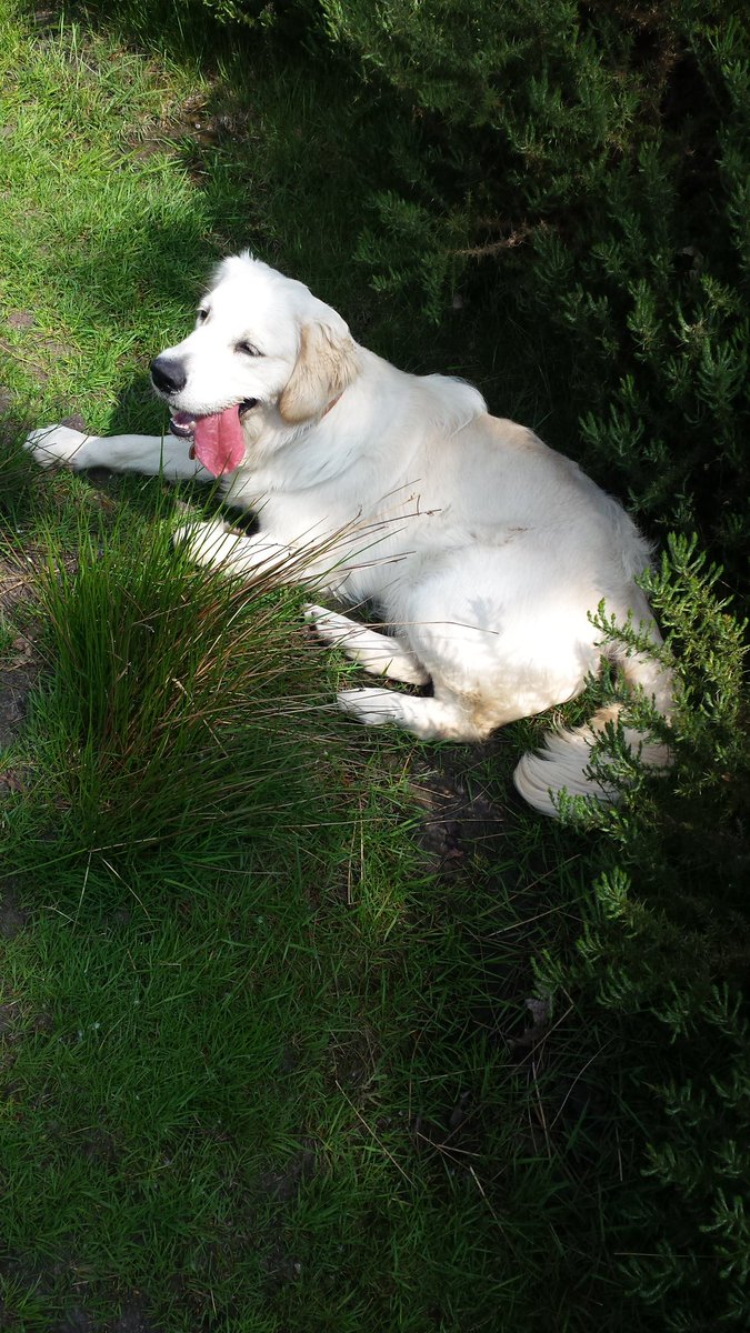 chez141's tweet photo. #TongueOutTuesday https://t.co/j8wxGjHow9