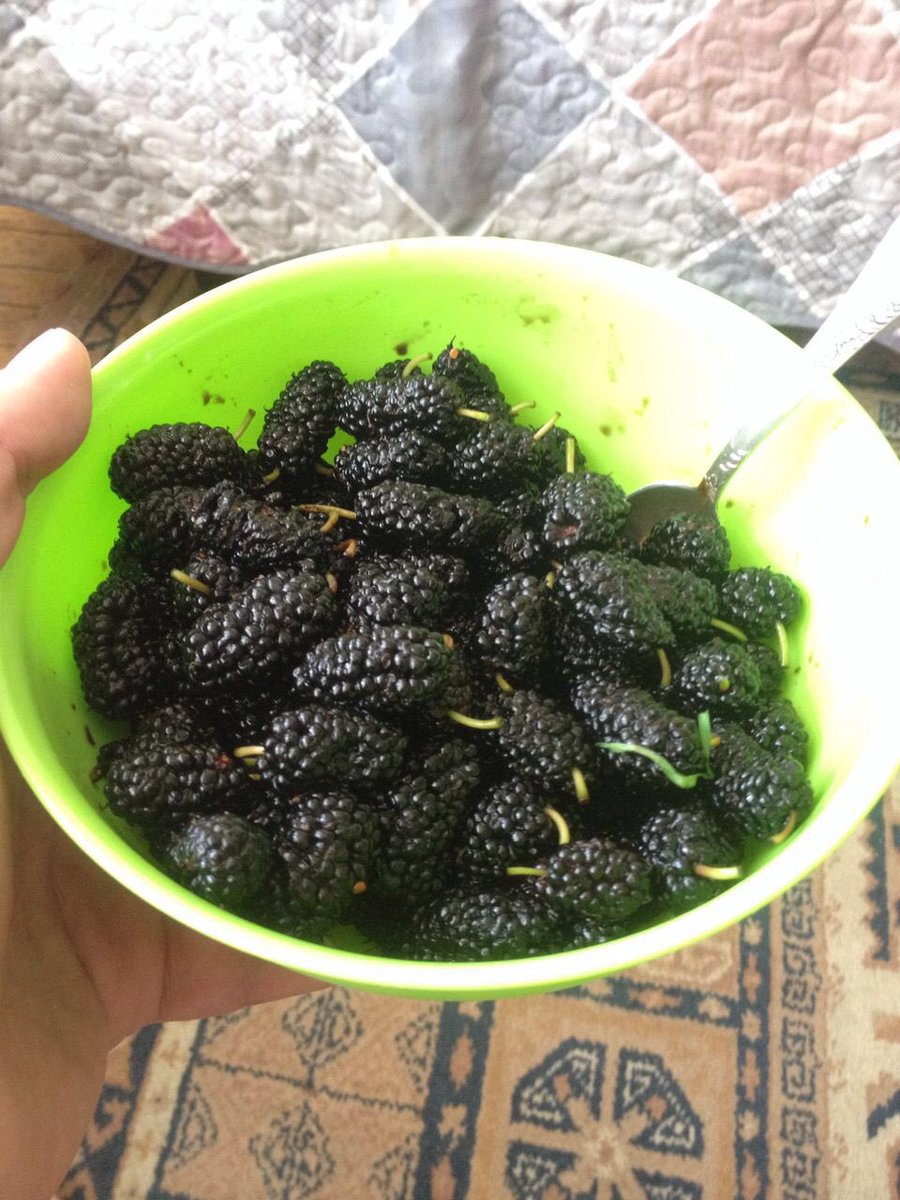 MrYakovv's tweet photo. Вкуснятина :-) это Армения детка https://t.co/5ye8s8xaOj