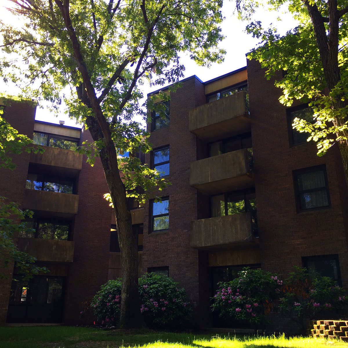 stonybrookalum's tweet photo. It's a sunny, (almost) summer morning in Kelly Quad. #beautiful64 #sceneatSBU https://t.co/rixWLMjzKF