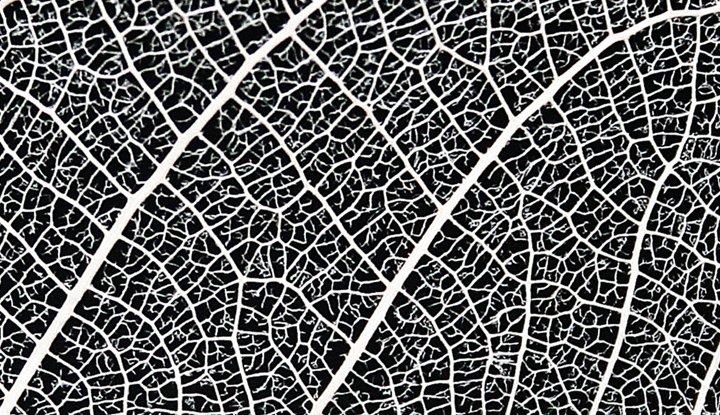 01govcom's tweet image. #البيانات_الضخمة عامل رئيسي في تغيير قطاع الرعاية الصحية bit.ly/1rb0d4R #البيانات #المدن_الذكية