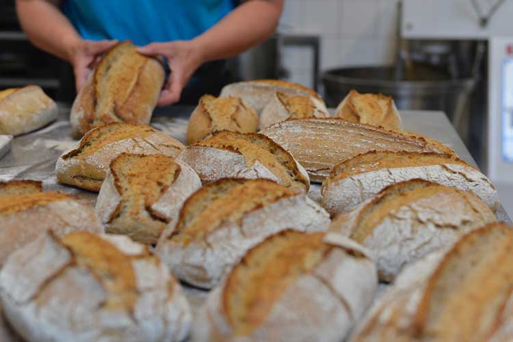 Professionele oven voor Broodbakkerij Novalishoeve!
sameneentexel.nl/broodbakkerij-… #texel <a href="/sameneentexel/">Samen één Texel</a> <a href="/Novalishoeve/">Novalishoeve</a>