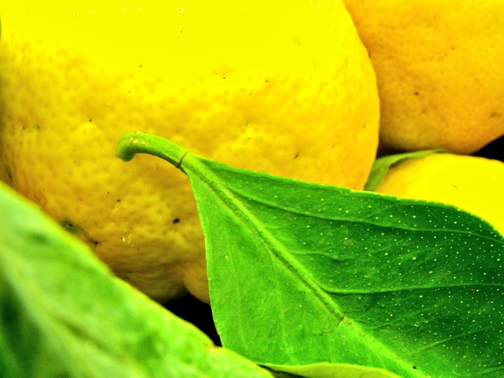 MAID4PC's tweet image. Maid 4 Pictou County is a brand new cleaning service
A professional reasonably priced, insured and licensed company