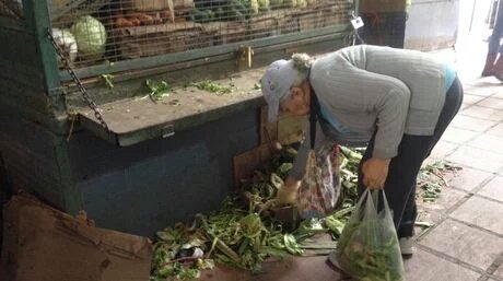 RETachira's tweet photo. El éxito de la agricultura urbana se ve en mercados. Venezolanos buscan en basura para alimentarse #HechoEnSocilismo https://t.co/uUbsiD42km