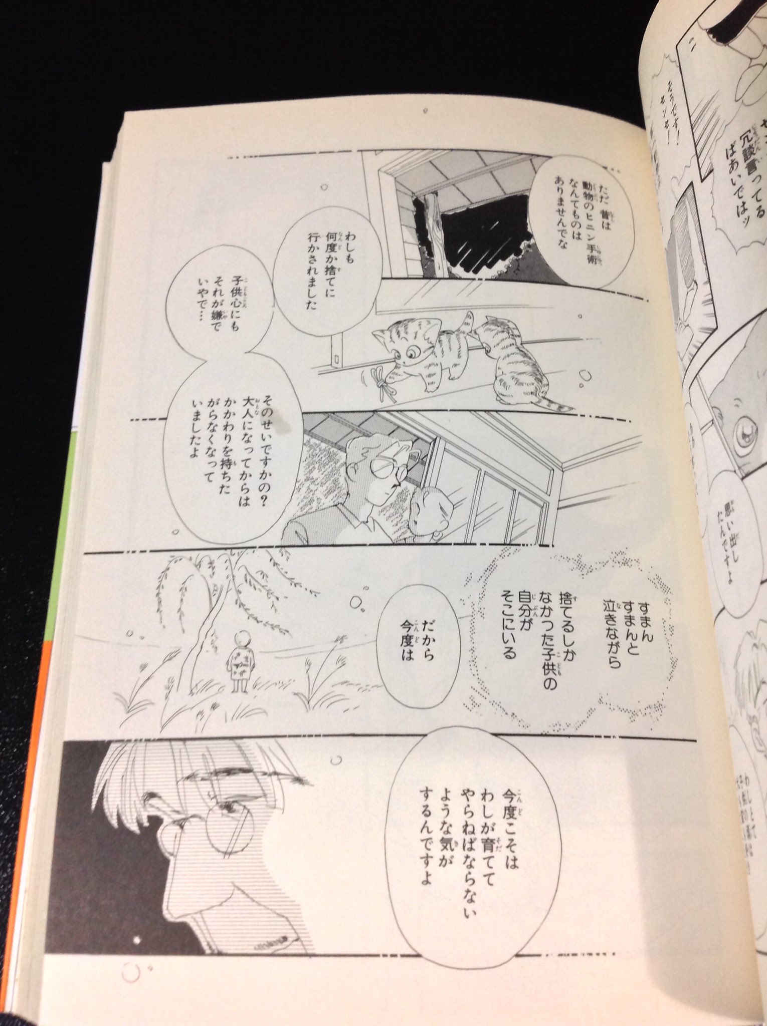 あお みかん絵日記より稲垣先生の言葉 人生で大切なことは全てマンガが教えてくれた あお みかん絵日記より稲垣先生の言葉 人生で大切なことは全てマンガが教えてくれた