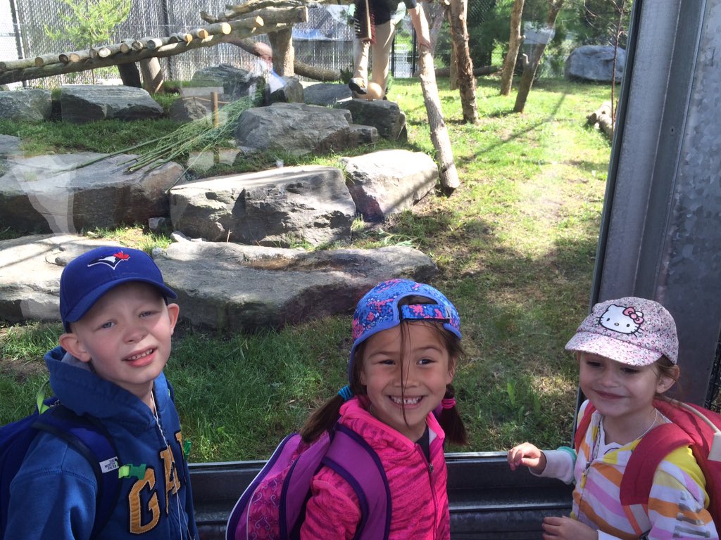 mrs_capocci's tweet photo. Meeting the panda cubs at @TheTorontoZoo @orioleparkjps https://t.co/tGKh0rgVX0