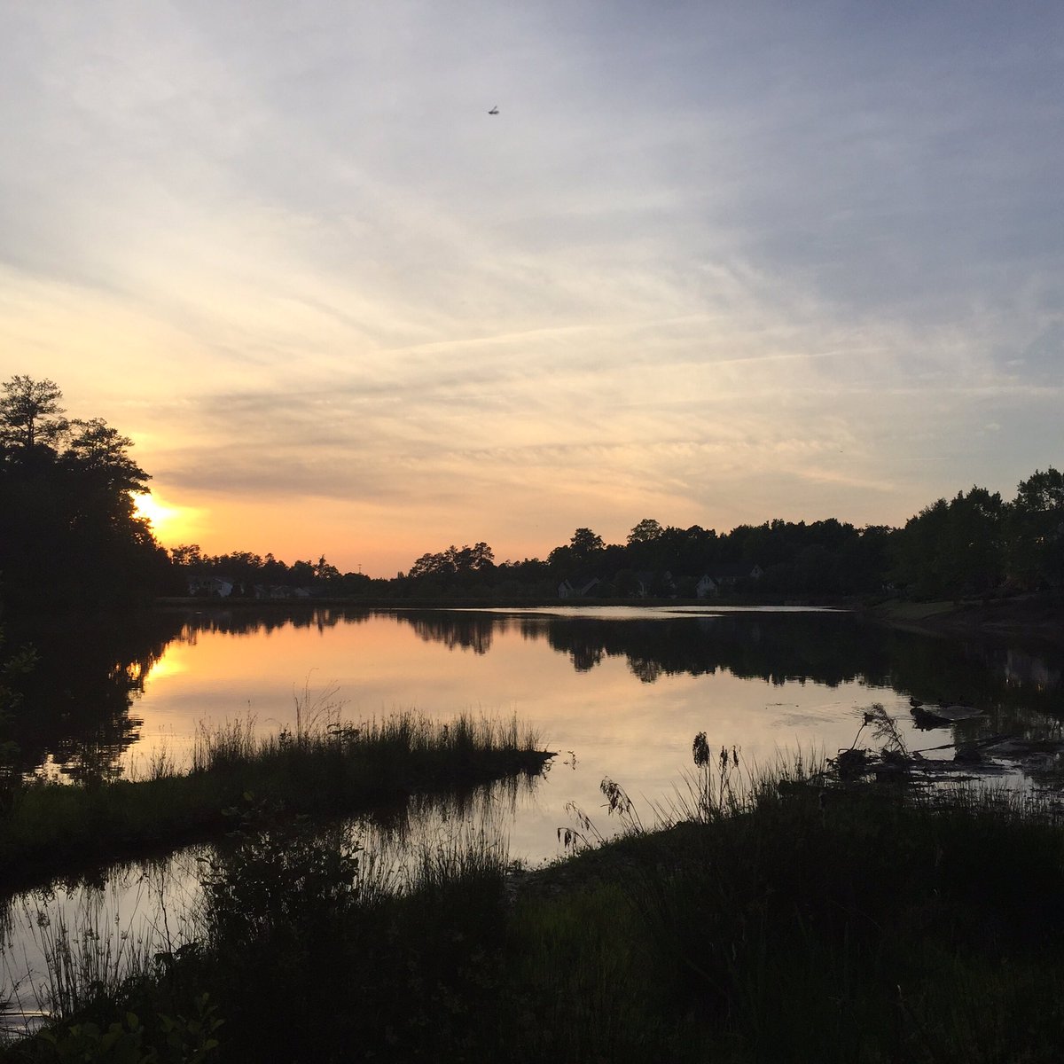 exploreapex's tweet image. Beautiful morning!