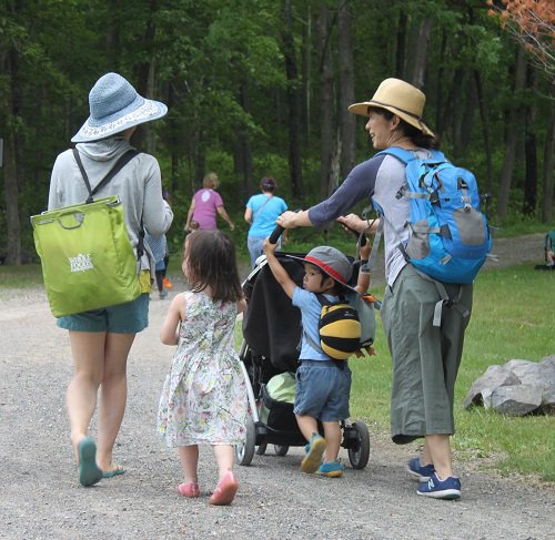 FriendBlueHills's tweet photo. Lots of kids at #Peekablue Hikes today, but don't fret if you missed it!  Next one: June 21. https://t.co/dr9HcqUhyZ https://t.co/gJTdvhbICf