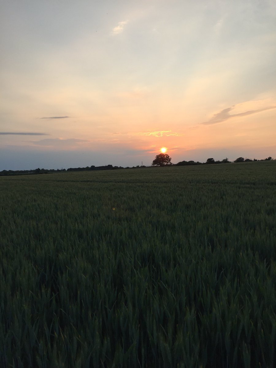 JessicaBWH's tweet photo. Beautiful evening training for @officialbsrf marathon in aid of @MAA_Charity 🚁 https://t.co/ajanze4ns8 https://t.co/YKxE7Qk6Fx