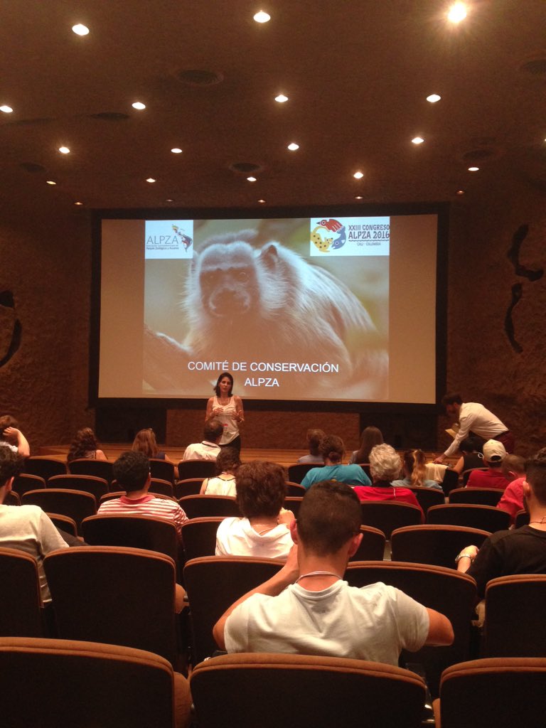 kurtduchez's tweet photo. Iniciando con el comité de conservación de ALPZA, Cali, Colombia #congresoalpza2016 @Zoolaaurora @ALPZA_Zoos https://t.co/ueh78Rqf2b