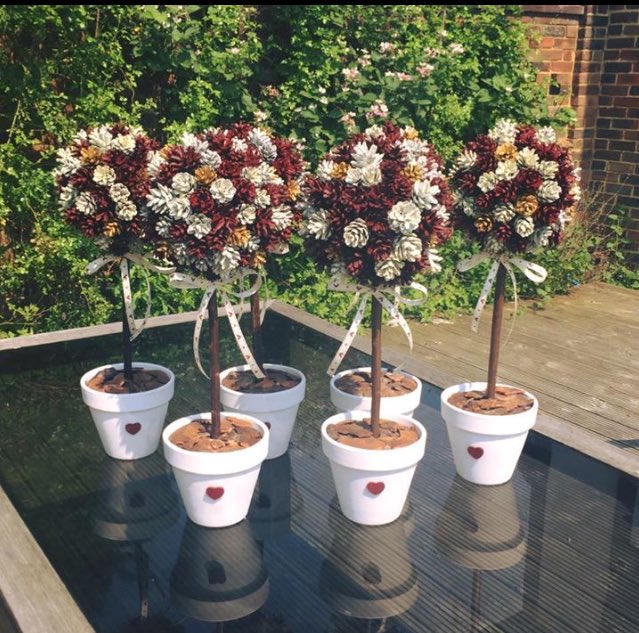 bloomwithaview's tweet photo. Handmade wedding table centrepieces.Real pine cones in cream,burgundy and gold.Pots  filled with bark and a ribbon. https://t.co/jAfD9C7E8C