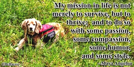 Swanifer25's tweet image. Please help me get my message out there: bit.lyhopecharlotte. #HelpHopeLive #CharityTuesday #TuesdayMotivation