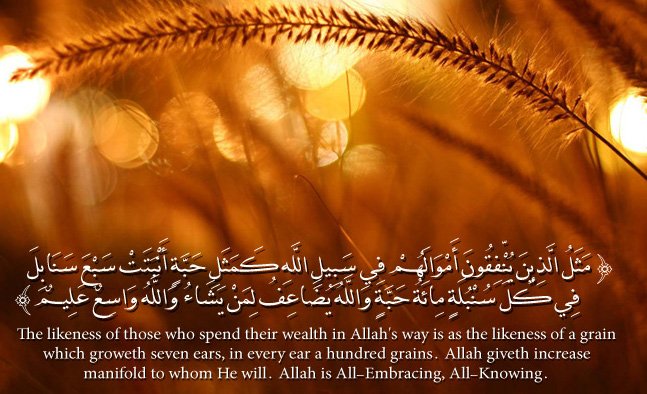 أنفقوا في سبيل الله . فهو المربح و المغنم للاجر و الثواب 
( ساعدإخوانك الفقراء و المحتاجين الذين ﻻ يجدون قوت يومهم