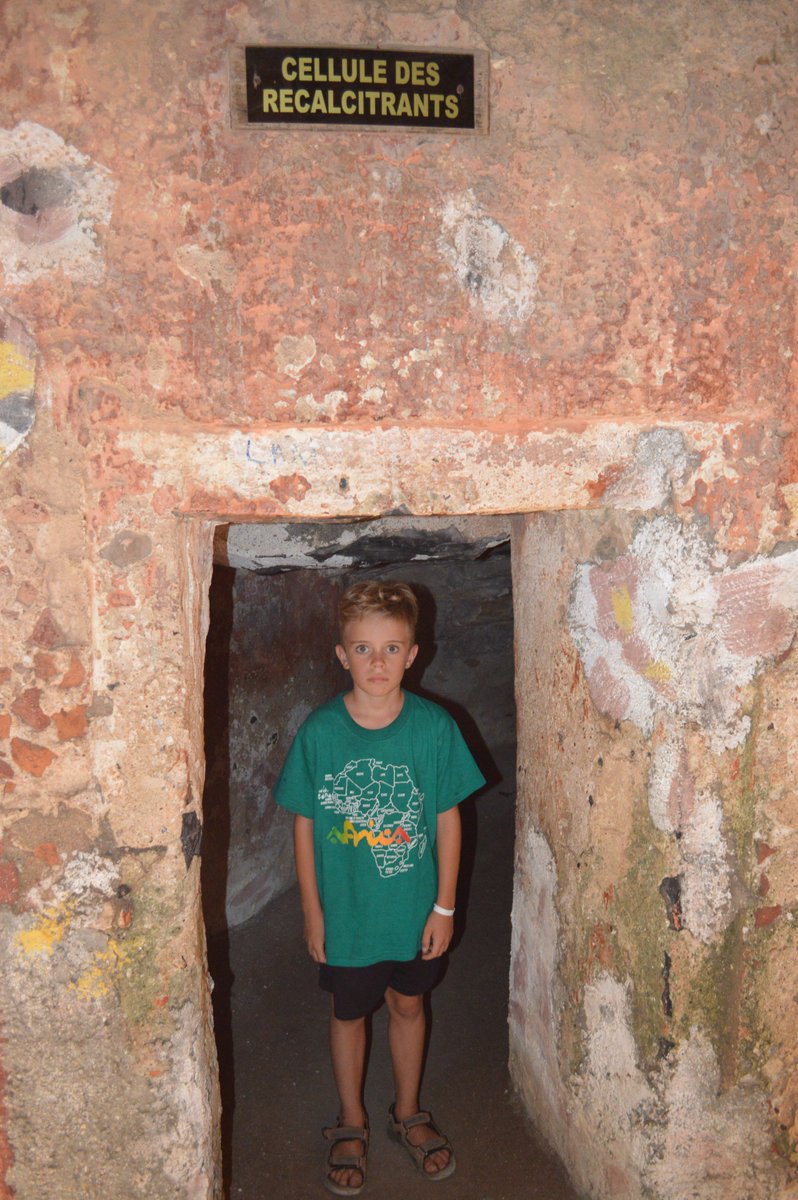 Catherine Piccini tweet media