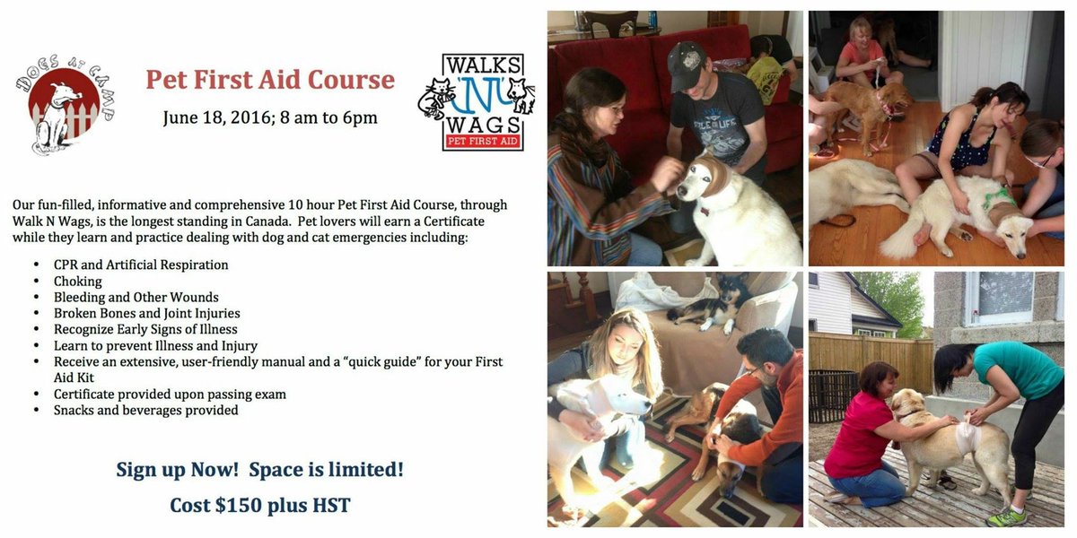 .@dogsatcamp_ott is offering a Pet First Aid course on June 18th in #Stittsville! #Ottawa