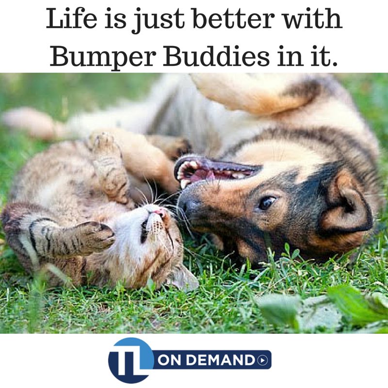 transformlead's tweet image. 