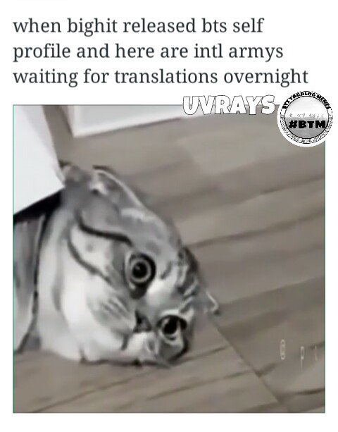 BTSTM_'s tweet photo. THE STRUGGLE IS REAL ๐ญ
#intlfanproblems
ยฉ u.V Rays ^_^V https://t.co/Cd2Tpcwzrd