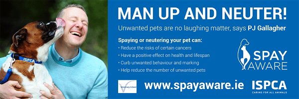 AllianzIreland's tweet image. SpayAware 2016 - Man up and Neuter ispca.ie/news/detail/sp…