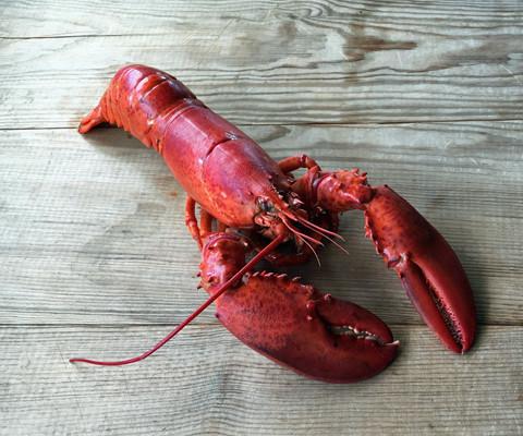 ShellfishRus's tweet image. Hello Chef it's Canner time. These lovely little lobsters make a stunning surf n' turf. Call 01206 384141 to order.