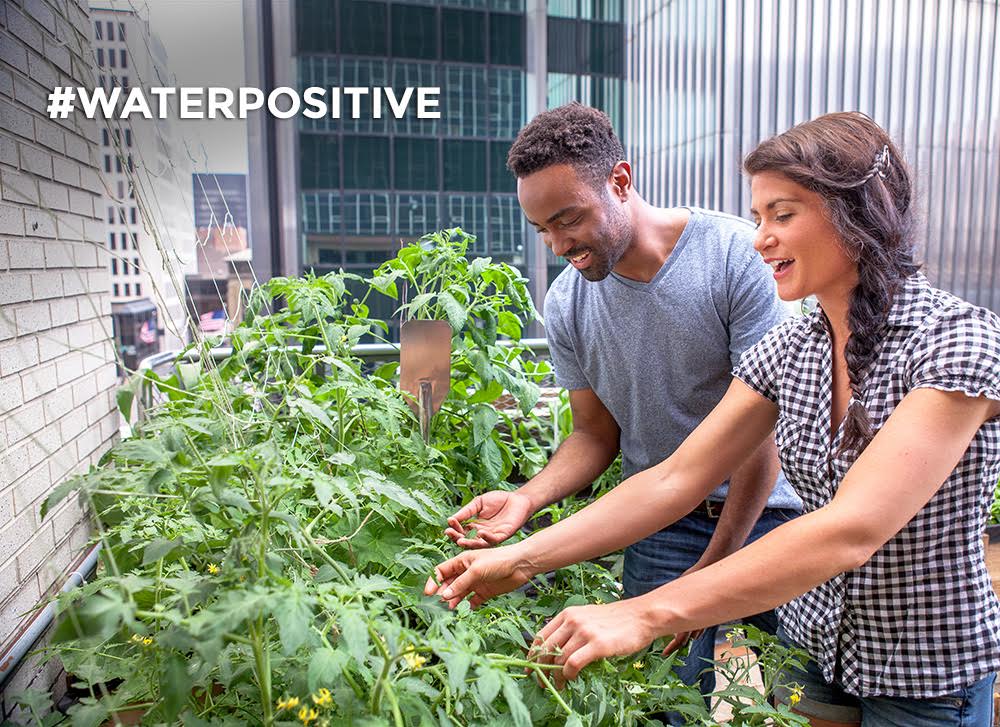 Scotts_MGro's tweet photo. Coast-to-coast! We bet you know some of these leading #WaterPositive groups https://t.co/qYde3Qnvos https://t.co/6w8dZYioZ9