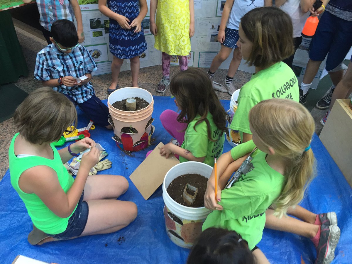GreenClubAS's tweet photo. Planting in soil from vermi-compost https://t.co/IlhZNGzCfW