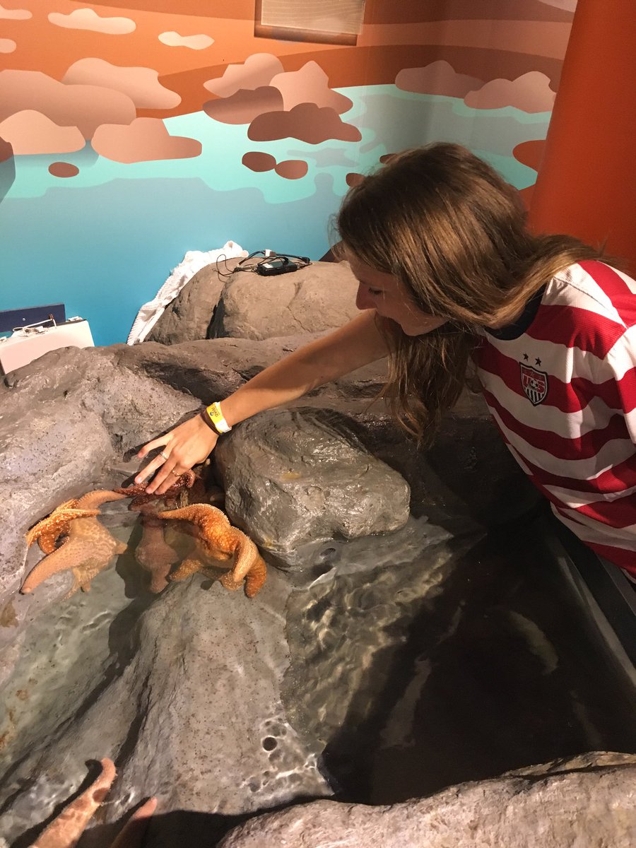 senoritaross's tweet photo. Pasando el día con los pingüinos, las nutrias, y las estrellas del mar 🐧🐙🐬🐠 https://t.co/p0K49LYGqH