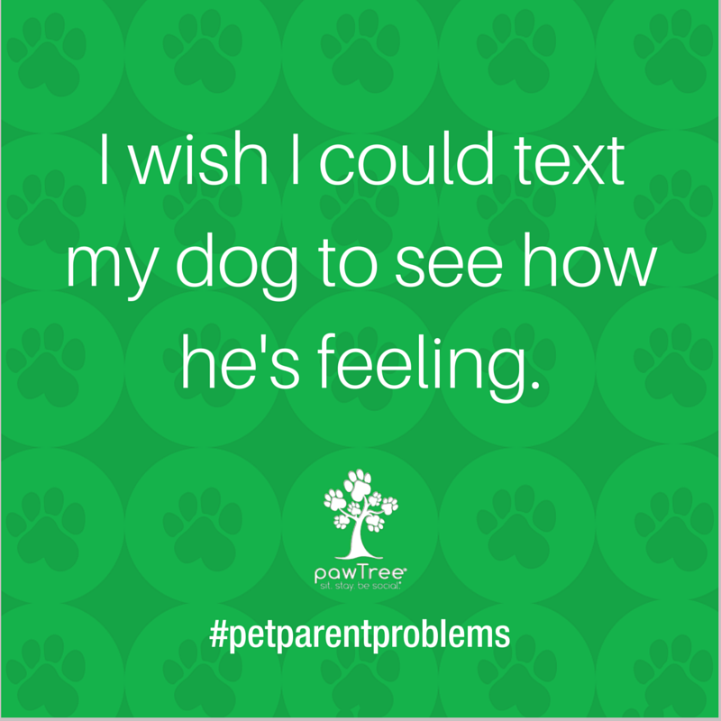 pawTree's tweet image. What would you text to your dog if you could? #PetAppreciationWeek #PetParentProblems #pawTree