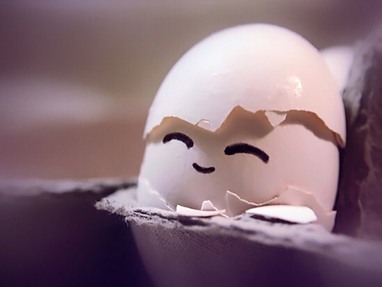 harrowmarket's tweet photo. We are so so so eggcited to bring eggs to the market this weekend. Get your ultra fresh order in now #harrowmarket https://t.co/Duay5KjU5M