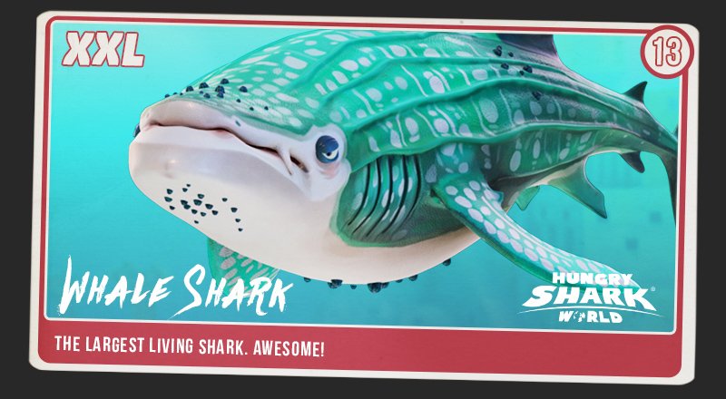 Hungry Shark World Di Twitter 13 S Unlucky For Some But Not When You Arethe Whale Shark New Sharkarium Card Of The Xxl Sharks Who D You Pick Https T Co Fcv3qico7k Twitter
