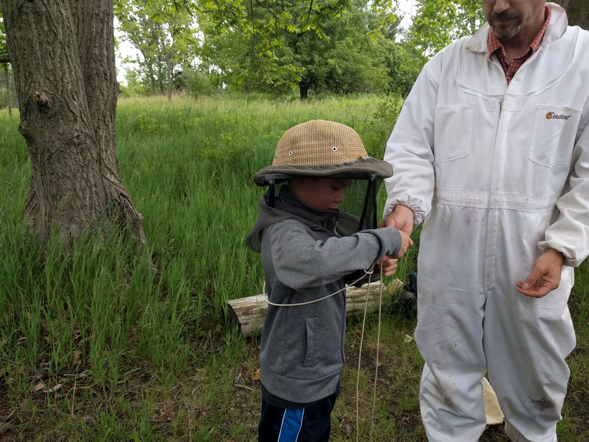 classwithsmith's tweet photo. Bee setup! #LexVisitsFun @wrdsb https://t.co/mc2EkmEDOg