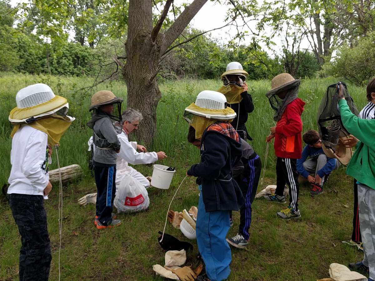 classwithsmith's tweet photo. Bee setup! #LexVisitsFun @wrdsb https://t.co/mc2EkmEDOg