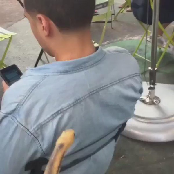 CauseWereGuys's tweet photo. He screamed like a little bitch 😭 https://t.co/zjyccifNny https://t.co/q2KzXr5AWq
