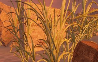 MMOweekly_com's tweet image. Build a Quick Hidden Furnace in @playrust mmoweekly.com/premiumstrateg… #Rust #Rusttips #playrust