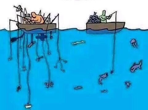 alkhaleejmedia's tweet image. "الرزق بيد الله وهو قادر على كل شي"