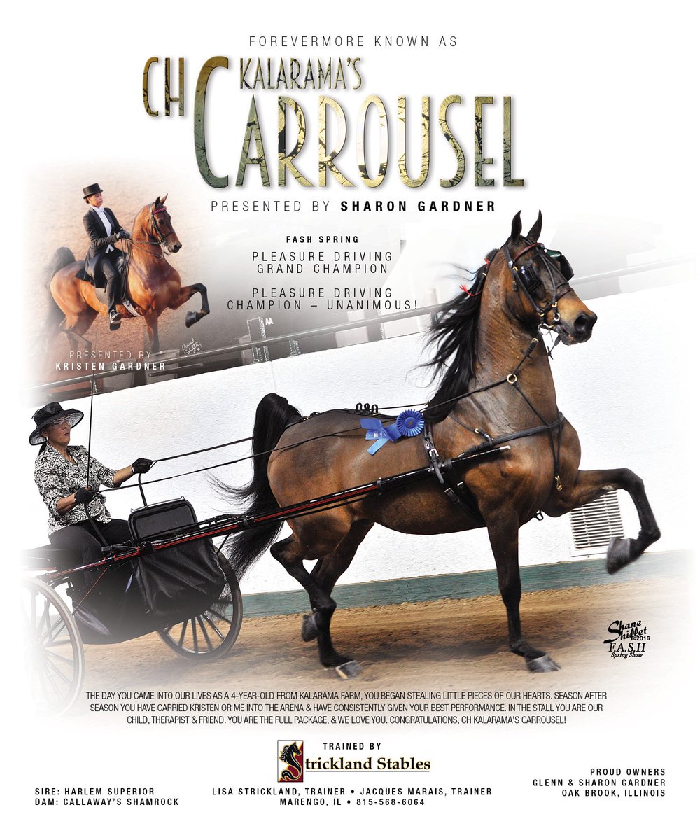 TNH1865's tweet photo. CH Kalarama’s Carrousel & Sharon Gardner
#nationalhorseman #fashspring #pleasuredriving #saddlebred https://t.co/wL50maj38R