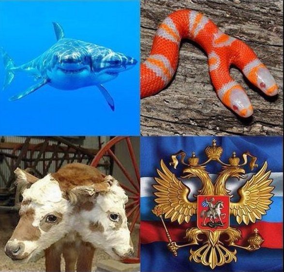 В Госдуме РФ предложили закрывать "террористические" сайты оппозиции без суда - Цензор.НЕТ 3207