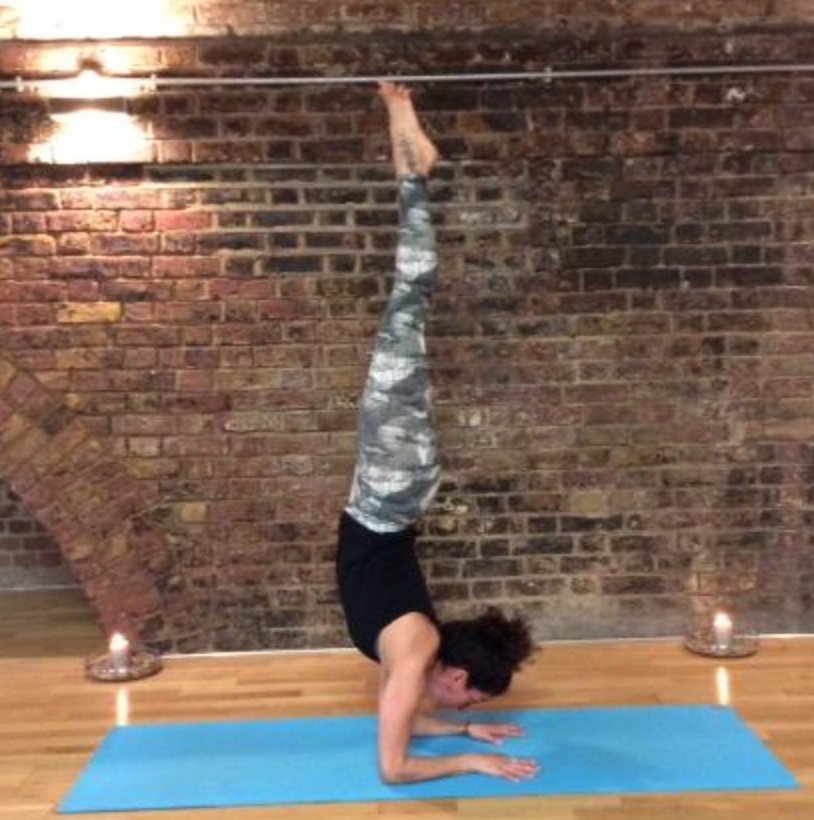 ASANA OF THE WEEK
Pincha Mayurasana
Feathered Peacock Pose
#abundance #pinchamayurasana #inversion